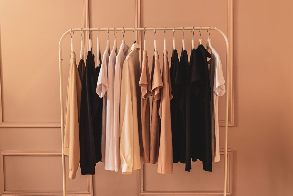 Minimal closet organized in the bedroom
